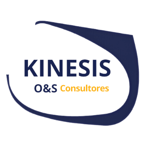 Kinesis Consulting